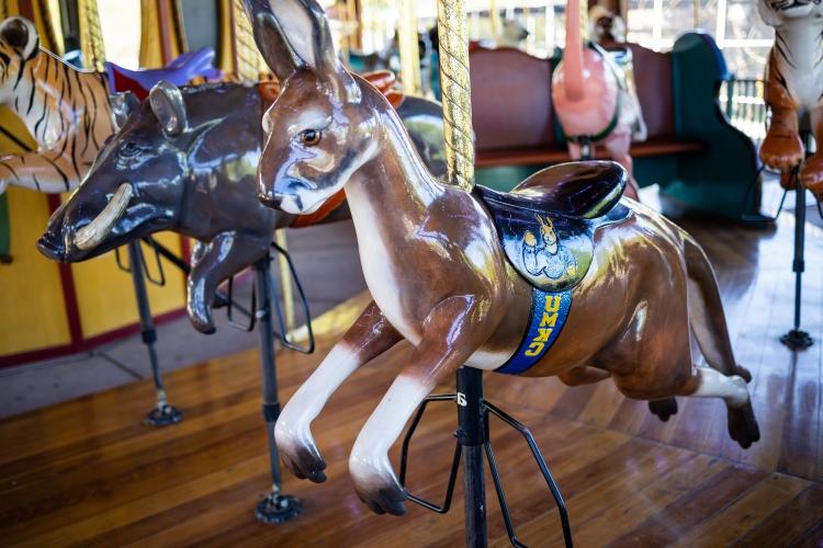 A kangaroo on the carousel at the Kansas City zoo is wearing a harness with the athletics roo logo and UMKC