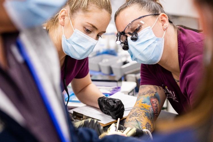 Two dental hygiene students look at something in the foreground of the photo together